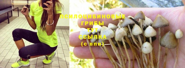прущий лед Армянск