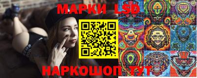 крисы Камышлов