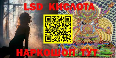 крисы Камышлов