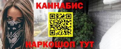 крисы Камышлов