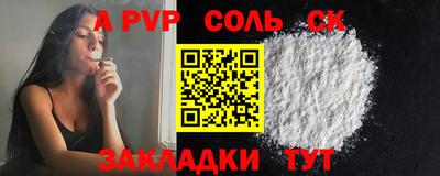 крисы Камышлов